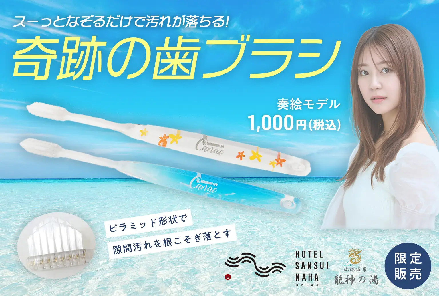 奇跡の歯ブラシ 奏絵モデル