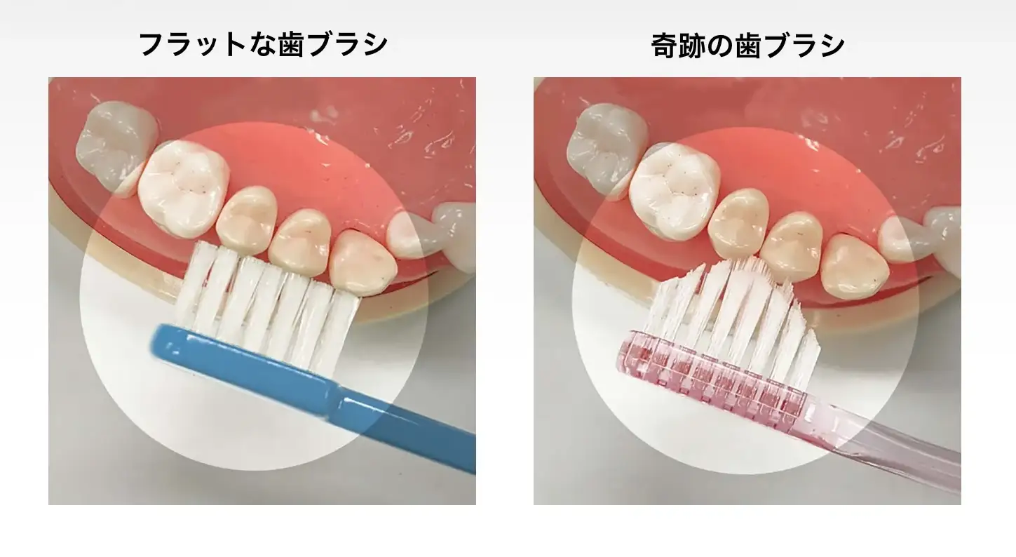 奇跡の歯ブラシ 奏絵モデル